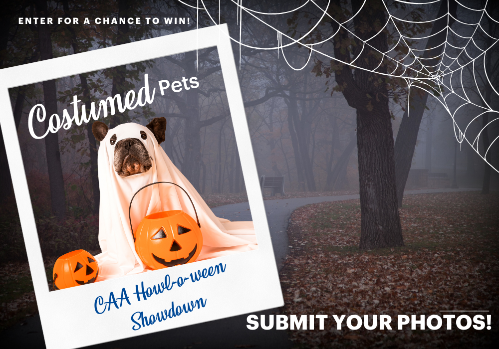 costumed pets